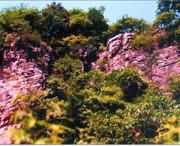 遂平天气预报7天